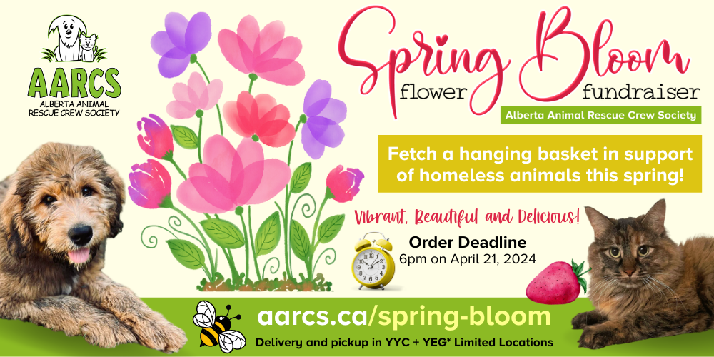 2024 Spring Bloom Fundraiser